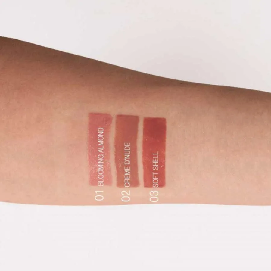 imagen brillo de labios cover gloss pierre rene tonos